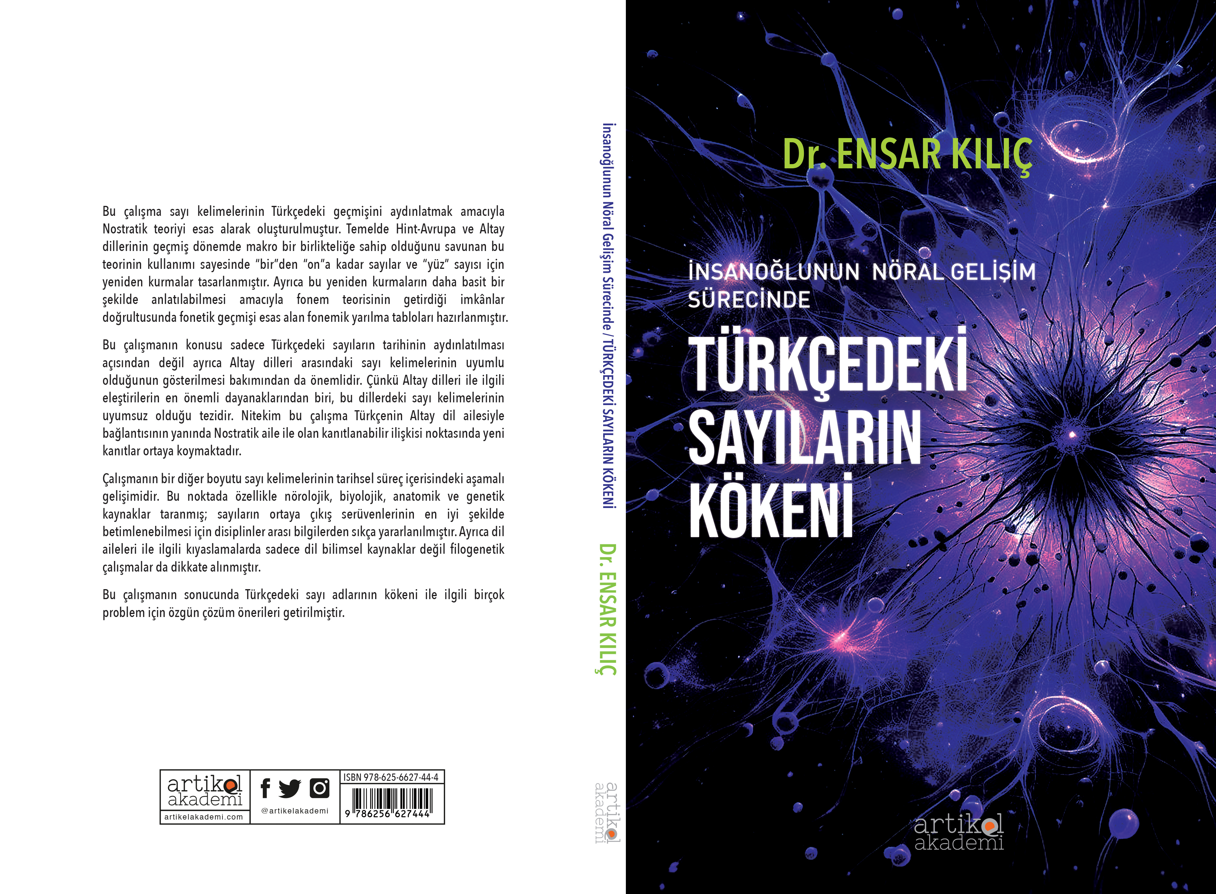 İnsanoğlunun Nöral Gelişim Sürecinde / TÜRKÇEDEKİ SAYILARIN KÖKENİ